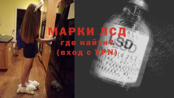 гидра Вяземский