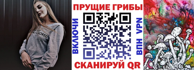 Псилоцибиновые грибы мухоморы  Светогорск 